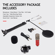 ZINGYOU Condenser Microphone Bundle, BM-800 PC Microphone Professional Cardioid Studio Mic Set with Mic Suspension Scissor Arm, Shock Mount and Pop Filter for Studio Recording & Broadcasting
